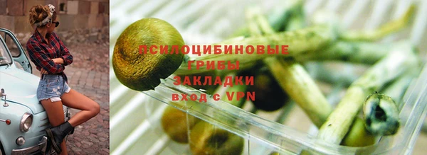 соль ск Армянск