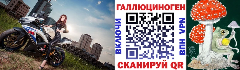 дарк нет клад  наркошоп  Снежинск  Псилоцибиновые грибы GOLDEN TEACHER 